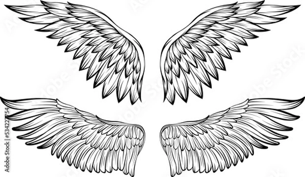 Obraz Bird wings vector illustration tattoo style. Hand drawn design element.