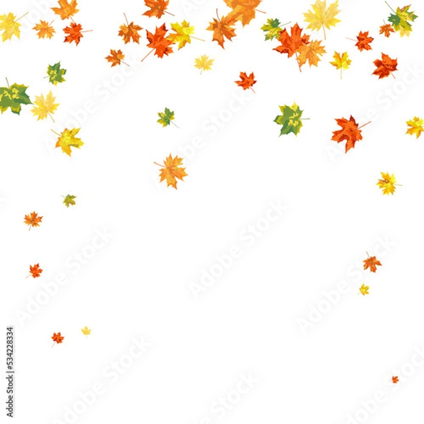 Fototapeta Autumn Maple Frame