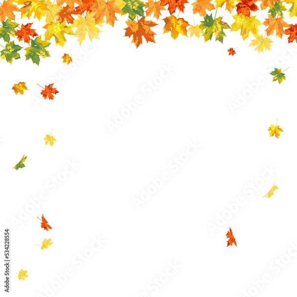 Fototapeta Autumn Maple Frame