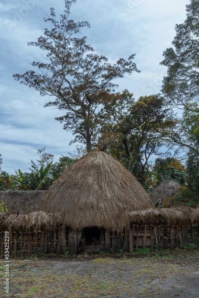 Obraz The Honai house is one of the typical Papuan houses, in the Baliem valley, Jayawijaya Regency, Papua.