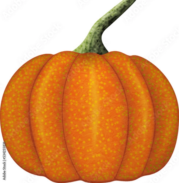 Obraz Vegetable pumpkin