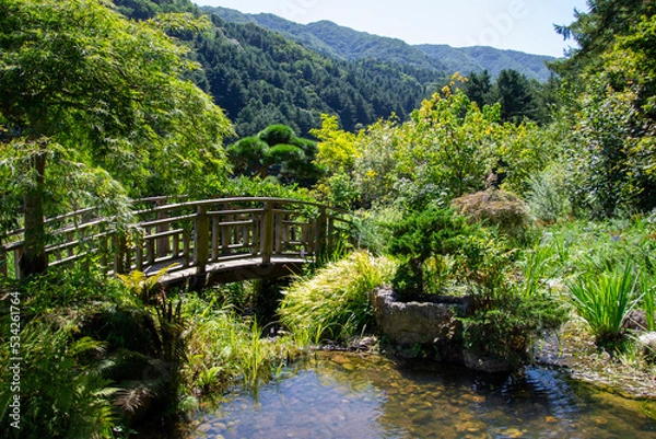 Fototapeta Jardin coréen