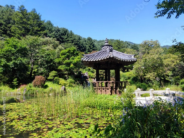 Fototapeta Jardin coréen