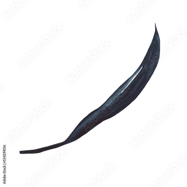 Fototapeta Watercolor winter leaves. It's perfect for cards, patterns, flowers compositions, frames, wedding cards and invitations.