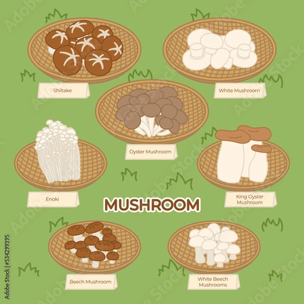 Obraz Collection of different edible mushrooms with baskets on grass