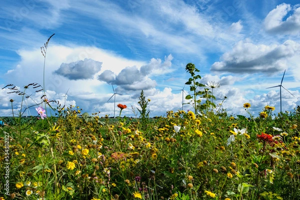 Obraz Reevediep , Kamperveen, Overijssel province, The Netherlands