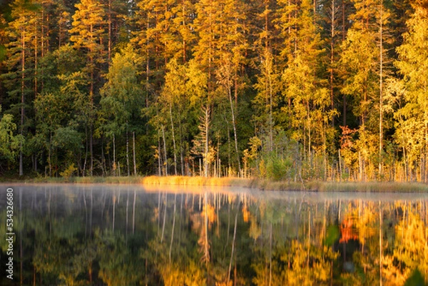 Fototapeta Autumn forest with reflection