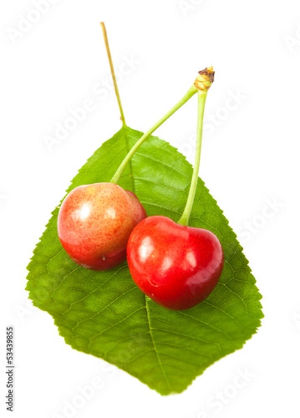 Fototapeta Cherries with leaf