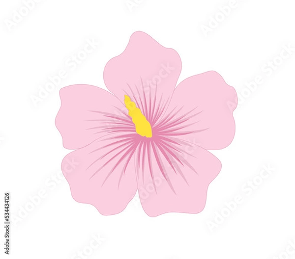 Fototapeta 무궁화 꽃