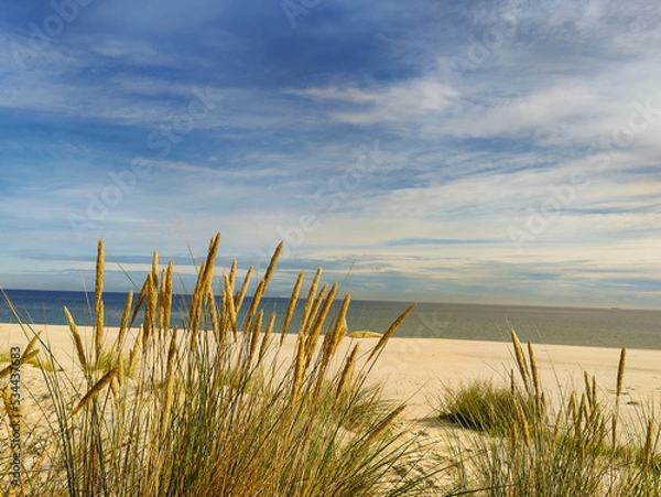 Fototapeta Plaża Hel