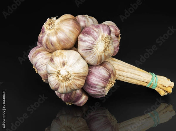 Fototapeta A bunch of garlic photographed against a dark background