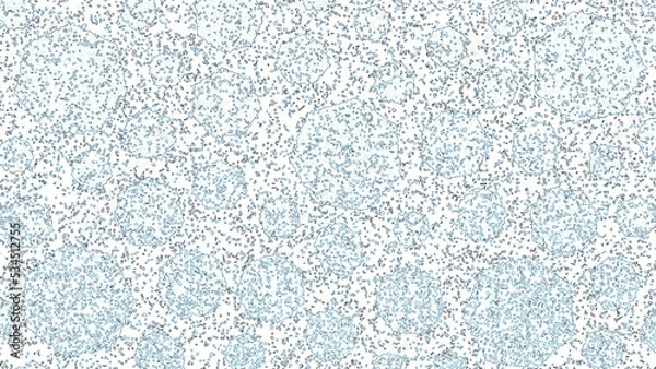 Obraz background texture