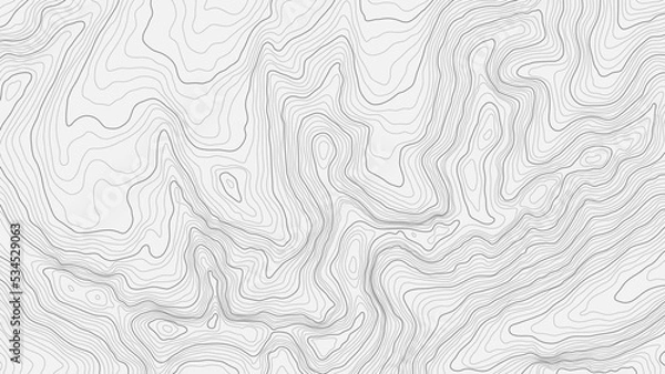 Obraz Fully editable and scalable vector illustration of topographic map on a light background. Great as an abstract background.