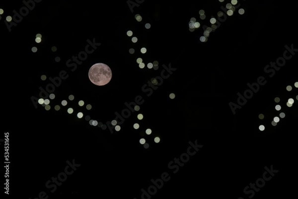 Obraz background with particles