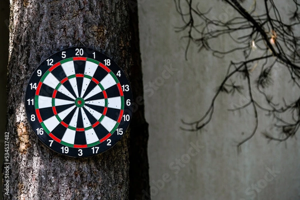 Fototapeta Darts on a tree