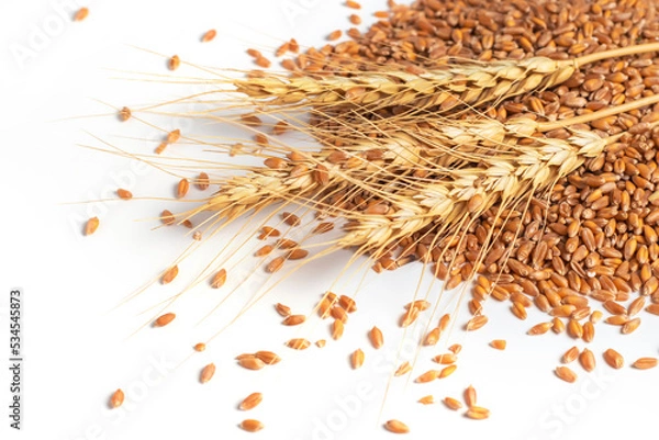Fototapeta Grain and ears of wheat isolated on white background. Top view
