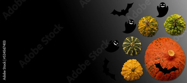 Fototapeta Halloween. Various type of halloween and decorative pumpkins with ghosts and bats around.