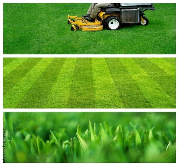 Obraz Banery ogrodnicze