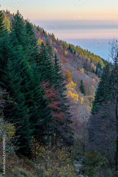 Obraz autumn in the mountains