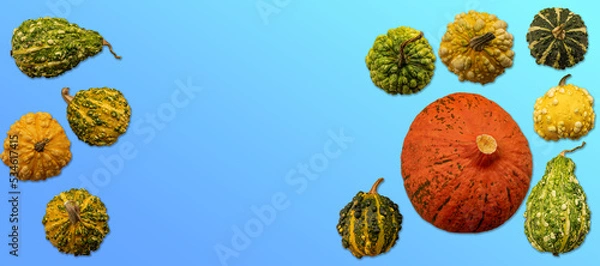 Obraz Halloween. Variation of various type of halloween and decorative colouful pumpkins. Banner typ.e.
