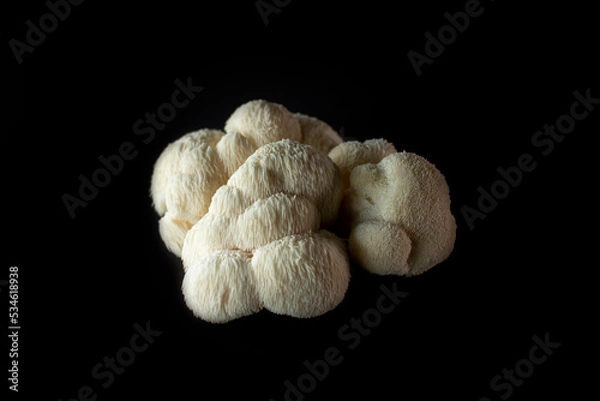 Obraz lion's mane mushroom