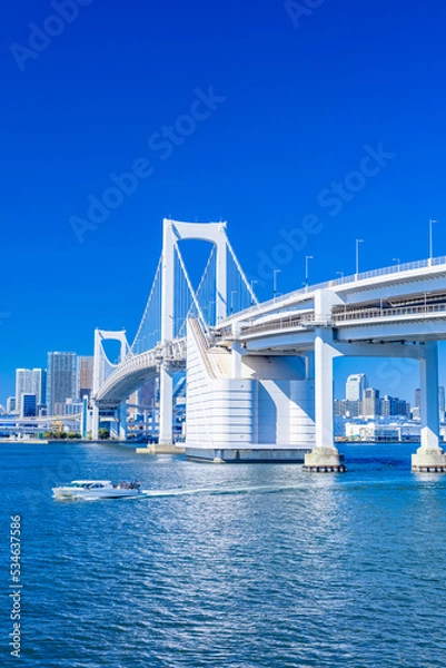 Fototapeta 東京　台場公園からのレインボーブリッジ