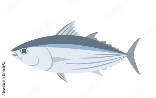 Obraz 鰹のイラスト【 Skipjack 】