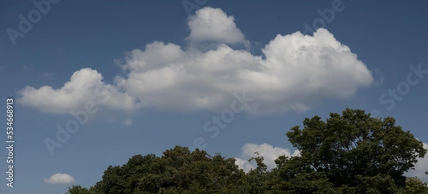 Fototapeta 空 雲 木 cloud, sunny, tree	

