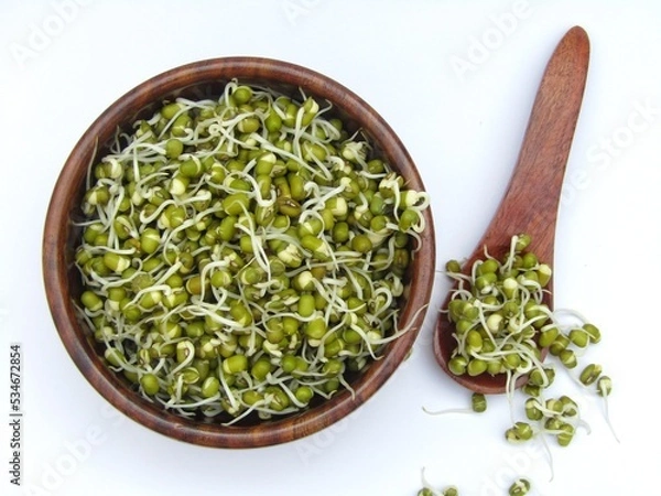 Obraz sprouted mung beans in a bowl on white background 