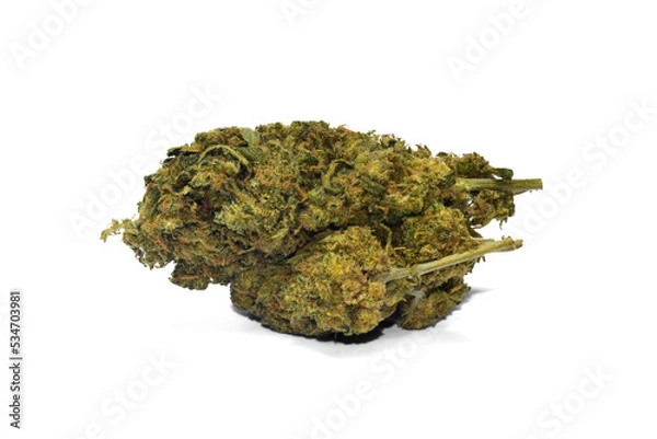 Obraz close-up cannabis flower clearly visible details isolated from background, cut background png, cannabis flower with flowers and transparent background shadow