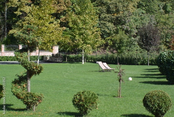 Fototapeta park in the city