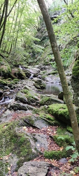 Fototapeta moss covered rocks