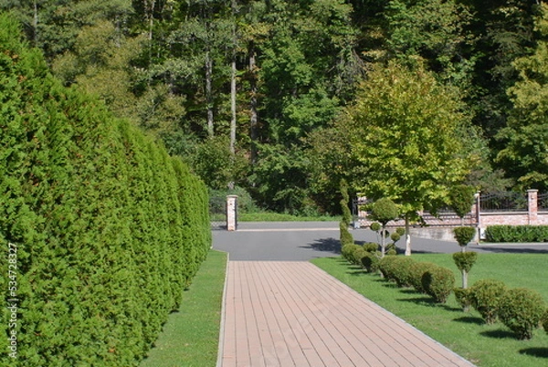 Fototapeta path in the park