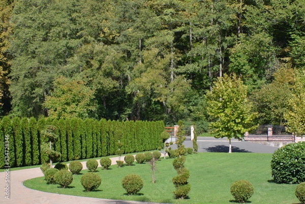 Fototapeta garden with trees