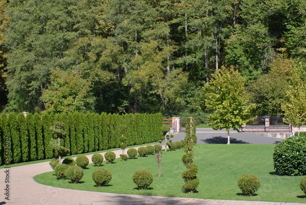 Fototapeta park in spring