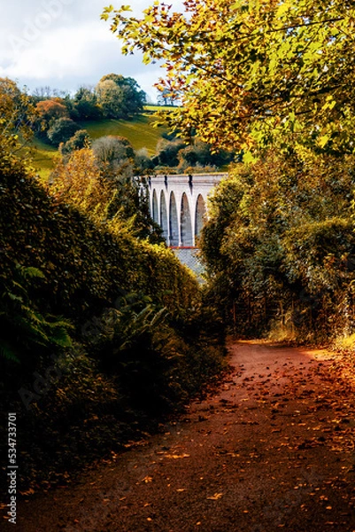 Obraz Autumn in the forest
