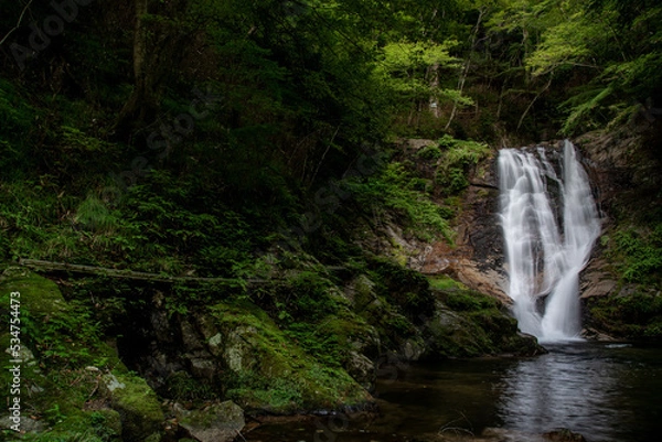 Obraz いわき市背戸峨廊