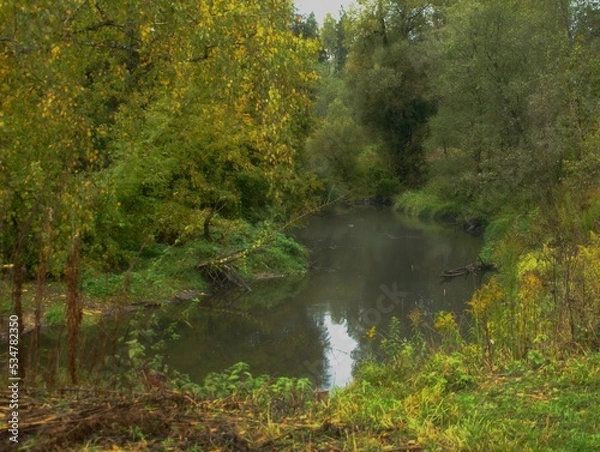 Fototapeta OLYMPUS DIGITAL CAMERA