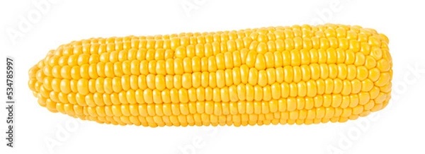 Fototapeta Corn cob isolated on transparent background. Stock photo.