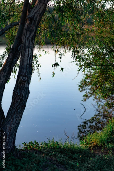 Fototapeta Calm water surface, calm weather on the river, quiet rest by the lake in nature among trees and vegetation