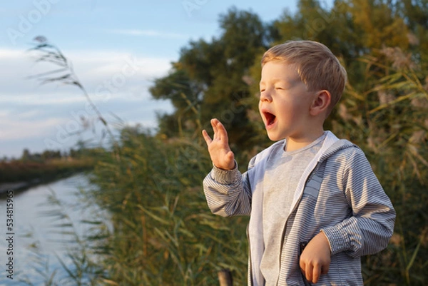 Fototapeta A cute blond boy 3-4 years old in a gray sweatshirt and a striped jacket screams loudly with his mouth wide open and his eyes closed, looks to the side, a portrait in nature on a warm day