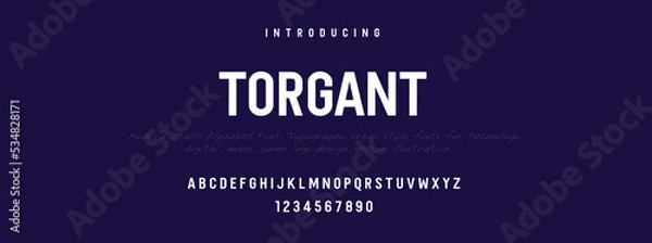 Obraz TOGANT  Elegant alphabet letters font and number. Classic Lettering Minimal Fashion Designs. Typography modern serif fonts decorative vintage design concept. vector illustration