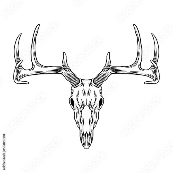 Obraz deer head skull vector art
