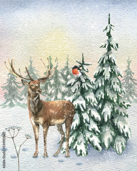 Obraz Watercolor illustration with a wild forest deer surrounded by fir trees in the snow against a beautiful sky. hand drawn christmas illustration