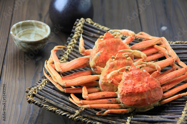 Obraz せいこがに