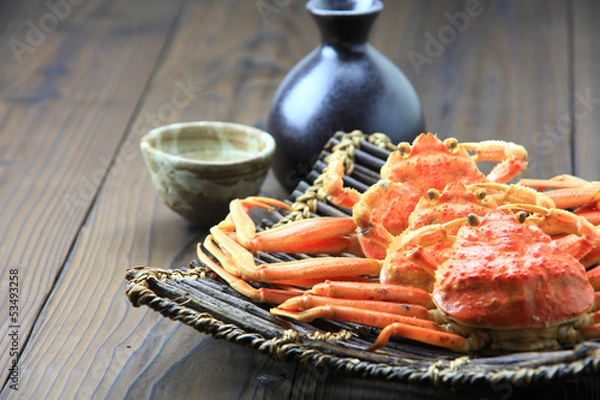 Obraz せいこがに