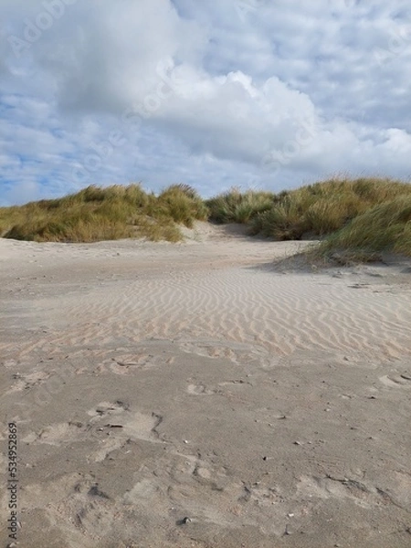 Fototapeta White sand dunes with long grass at the beach, seaside, coast in Koksijde, Belgium. Sand shows footsteps and ruffles formed by the wind. Image taken on a cloudy day in September.