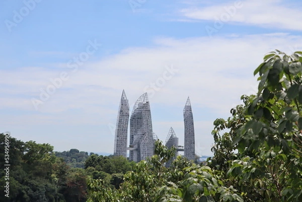 Fototapeta forest city