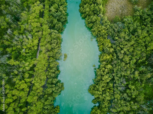 Fototapeta aerial drone view of river lake forest top down