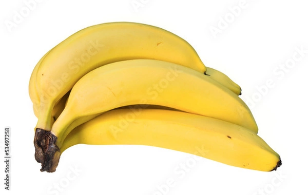 Obraz Hand of Bananas